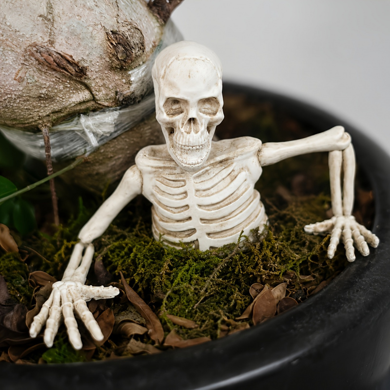 Ornamento da Giardino a Mezzo  - Bonsai Garden Landscape Design recensione e prezzo